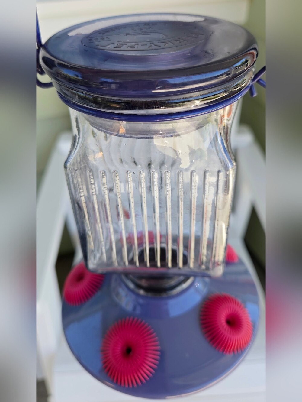 Humming Bird Feeding With 5 Feeding Ports